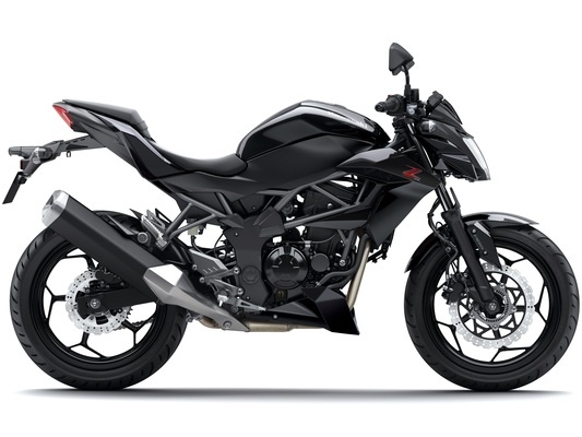 Фото мотоцикла Kawasaki Z250SL ABS